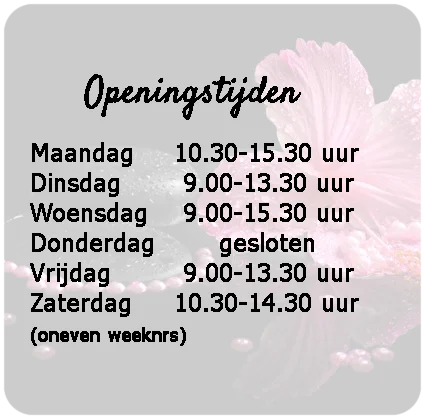 Openingstijden Tijden waarop de salon open is